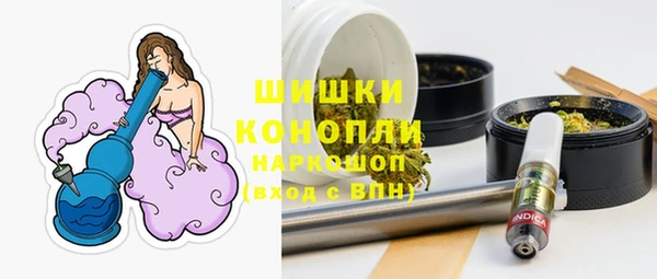 дмт Няндома
