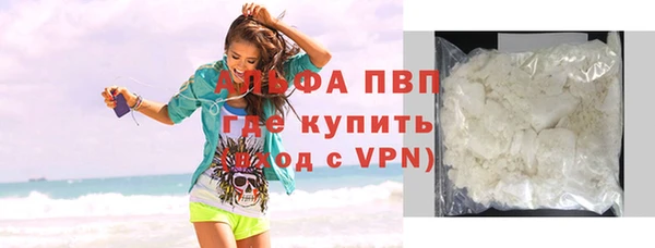 спиды Курчалой