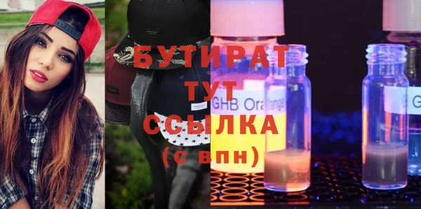 ГАЛЛЮЦИНОГЕННЫЕ ГРИБЫ Дмитриев